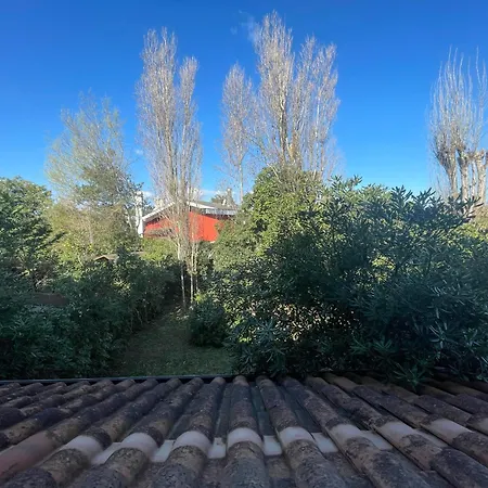 Casa Fenicotteri, Albarella Casa vacanze
